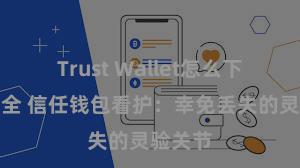 Trust Wallet怎么下载最安全 信任钱包看护：幸免丢失的灵验关节