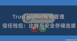 Trust Wallet私钥管理 信任钱包：比特币安全存储选拔